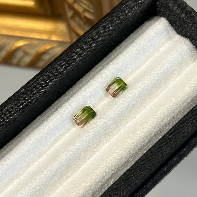 【裸石】西瓜碧玺 Watermelon Tourmaline LT195/LT196 - 项链 - 宝石 多色
