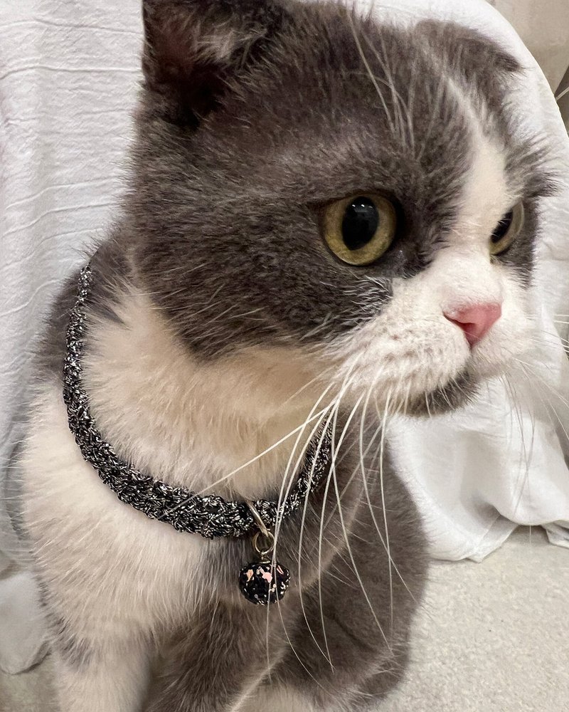 【无铃铛+安全扣】黑闪银+黑闪珠珠-猫项圈 手作/猫项圈/安全项圈 - 项圈/牵绳 - 其他材质 