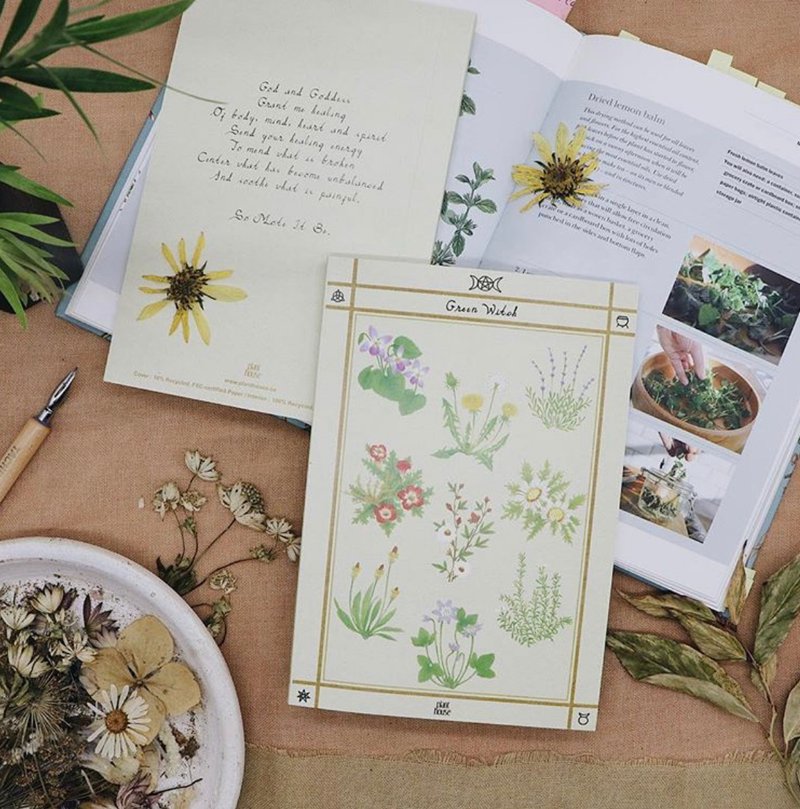 Green Witch Notebook Plant House - 笔记本/手帐 - 纸 多色