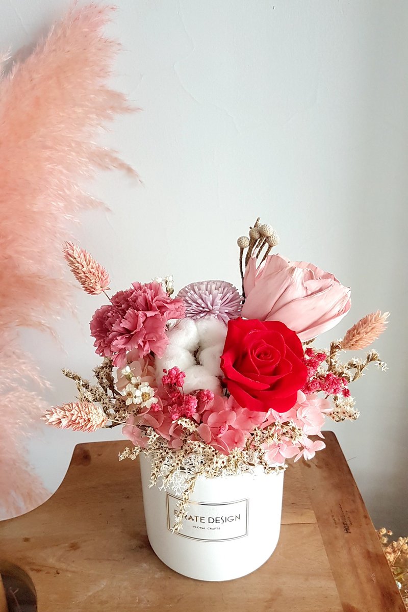 海藏设计|臻爱您。母亲节永生藕粉康乃馨盆花 - 植栽/盆栽 - 植物．花 红色