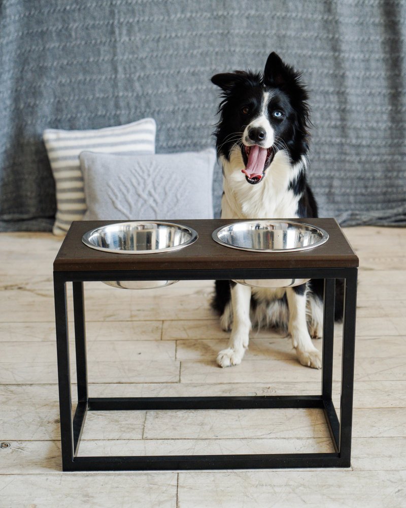 Dog bowls for tall dog Wooden top stand XL Size 1,8l Height 40 cm - 碗/碗架 - 木头 咖啡色