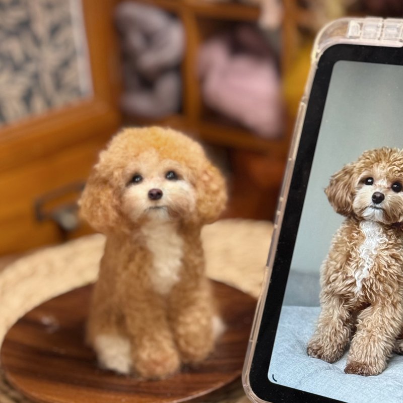 羊毛毡定制化宠物 | 贵妇犬贵宾犬 | 仿真拟真狗狗包玻璃罩 | 生日礼物 - 玩偶/公仔 - 羊毛 
