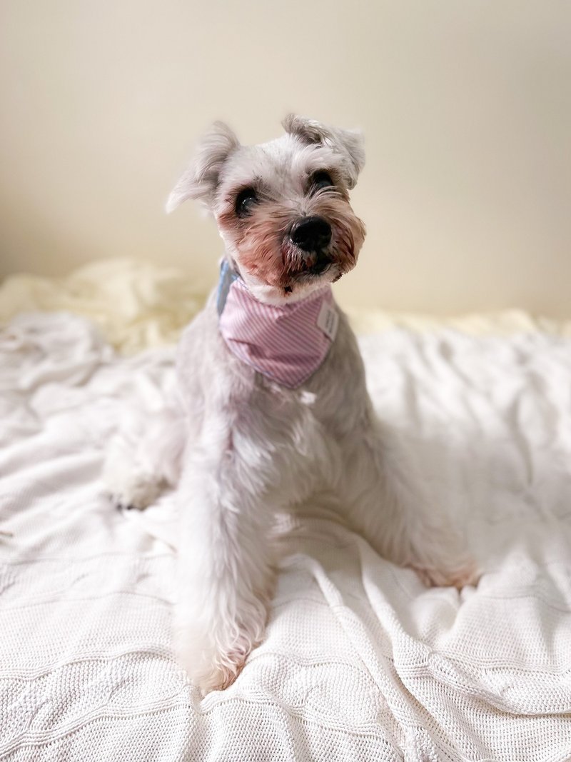 春夏 2023 Y2K 风格纯棉宠物领巾 恒常款 【ICE CREAM】 - 衣/帽 - 棉．麻 多色