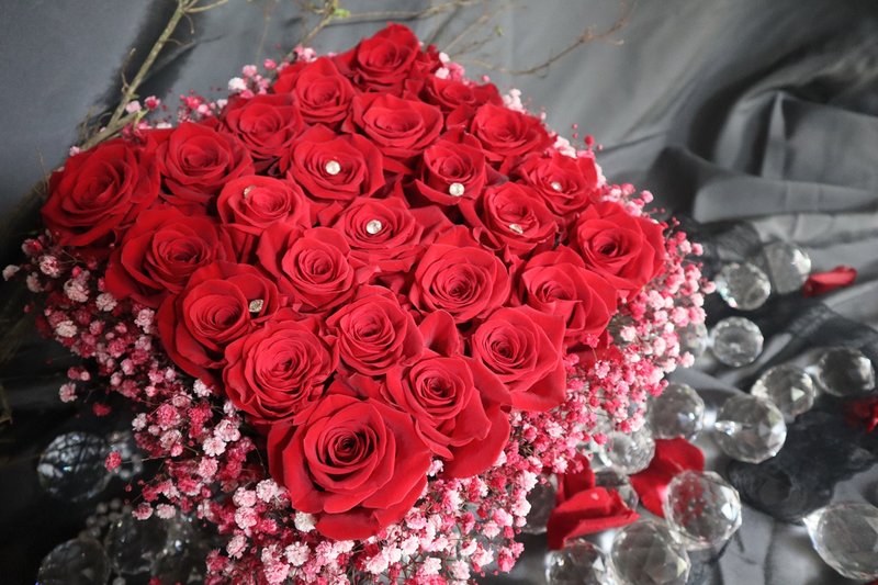 热情如火 - 植栽/盆栽 - 植物．花 红色