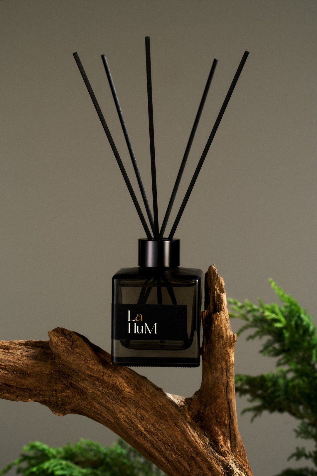 La Hu M 150ml 香氛扩香瓶 静谧橙花 无酒精 狗狗友善香氛 - 香薰/精油/线香 - 其他材质 