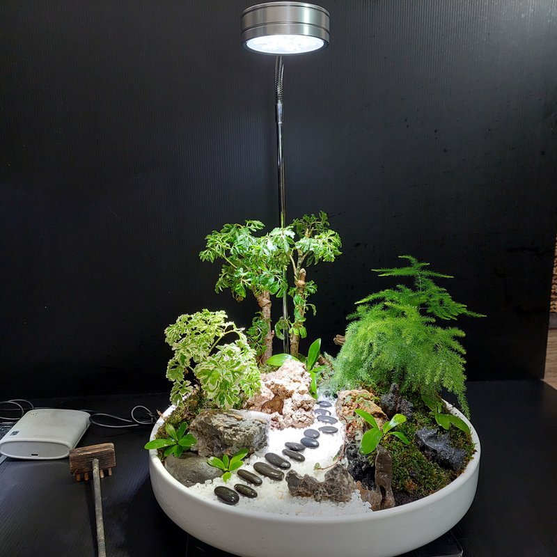 和风庭园盆景 Ak-3031白瓷圆盆        禅风秘境 遐思疗愈 - 植栽/盆栽 - 陶 