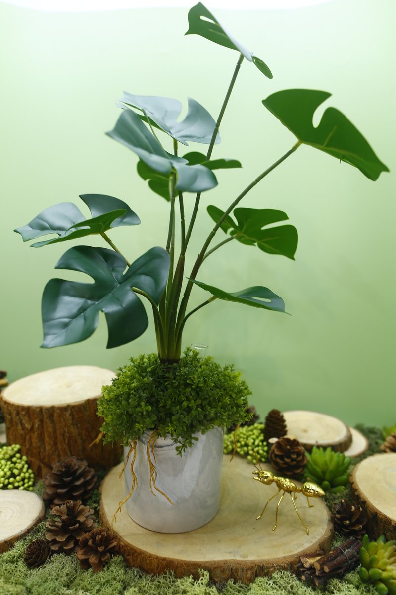 拟真龟背芋 电信兰香氛植栽 高款/拟真植物/人造盆栽/绿化/布置 - 植栽/盆栽 - 其他材质 绿色