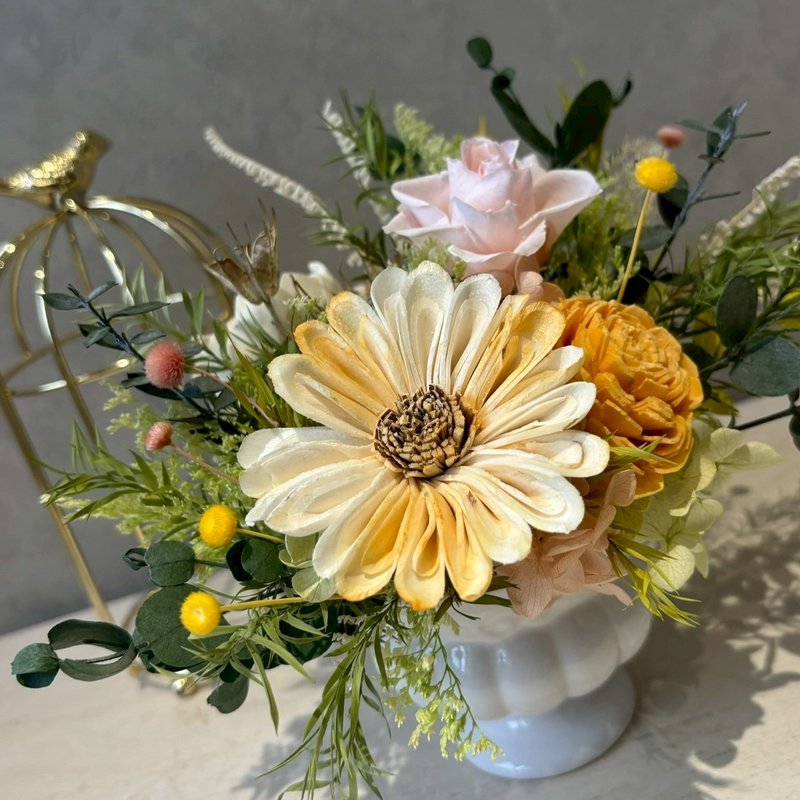 永生盆花 情人节 开幕送礼 韩式冠军杯/太阳花 - 干燥花/捧花 - 植物．花 橘色