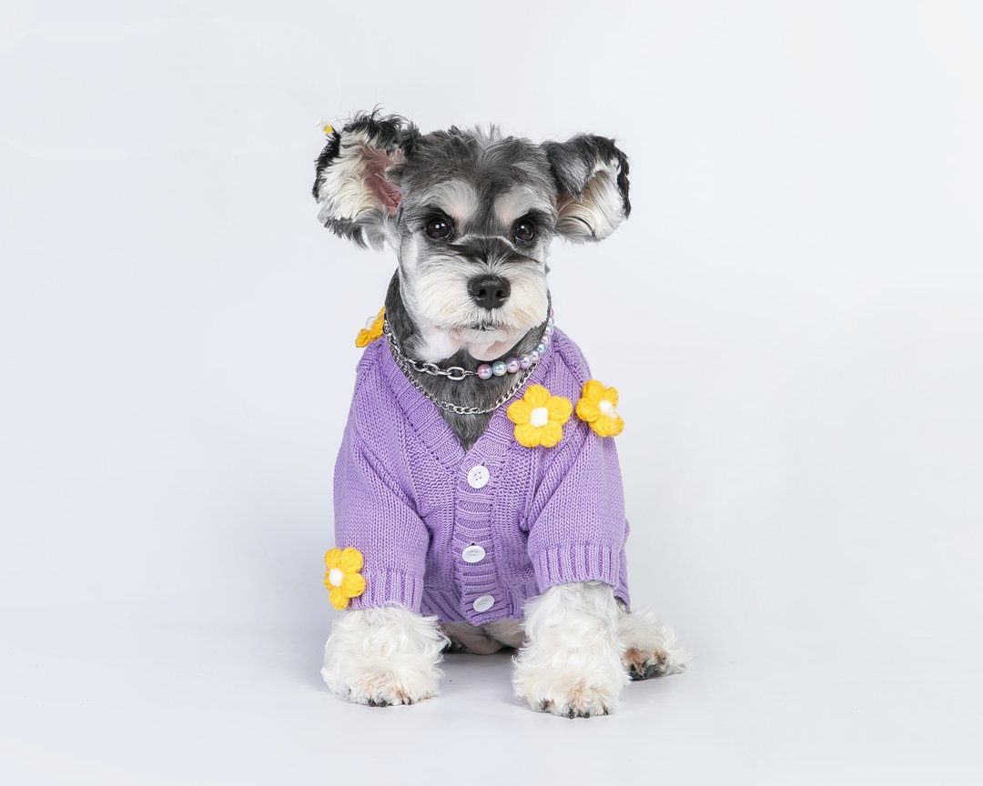 狗狗衣服猫咪衣服花朵紫色宠物毛衣 - 衣/帽 - 棉．麻 紫色