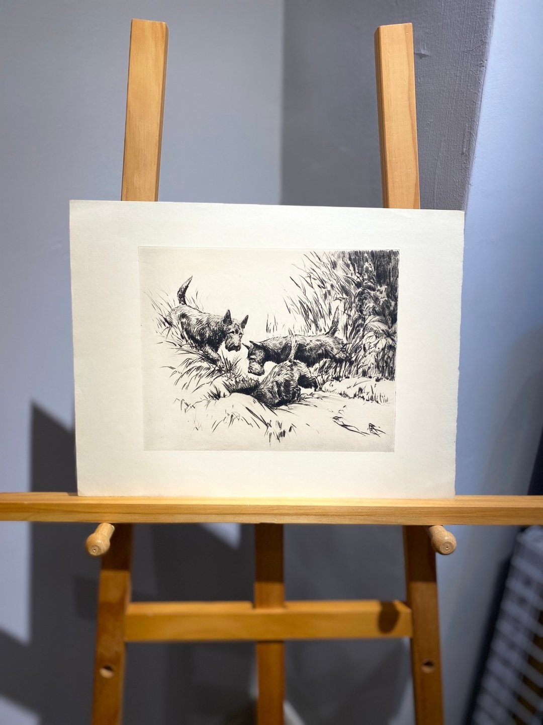 华盛顿DC艺术家Morgan Stinemetz-苏格兰梗-蚀刻版画-Etching - 海报/装饰画/版画 - 纸 白色