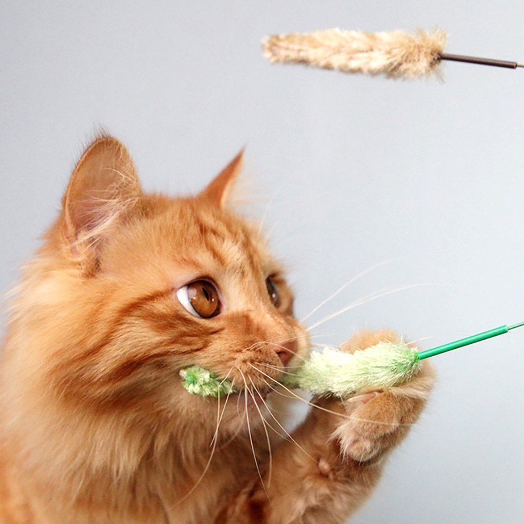 【日本CattyMan】灵动仿真狗尾草逗猫棒 ~ 超弹力 ! - 玩具 - 其他材质 