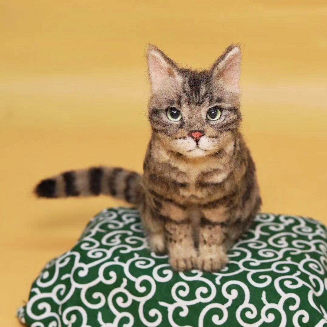 定制化礼物 逼真猫猫 羊毛毡 毛孩 宠物 娃娃 猫咪猫奴 似颜绘 e4 - 玩具 - 羊毛 多色