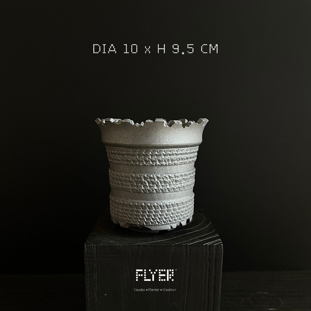 FLYER黑泥系列 块根多肉植物陶盆器 龙舌兰象牙宫盆器 - 花瓶/陶器 - 陶 