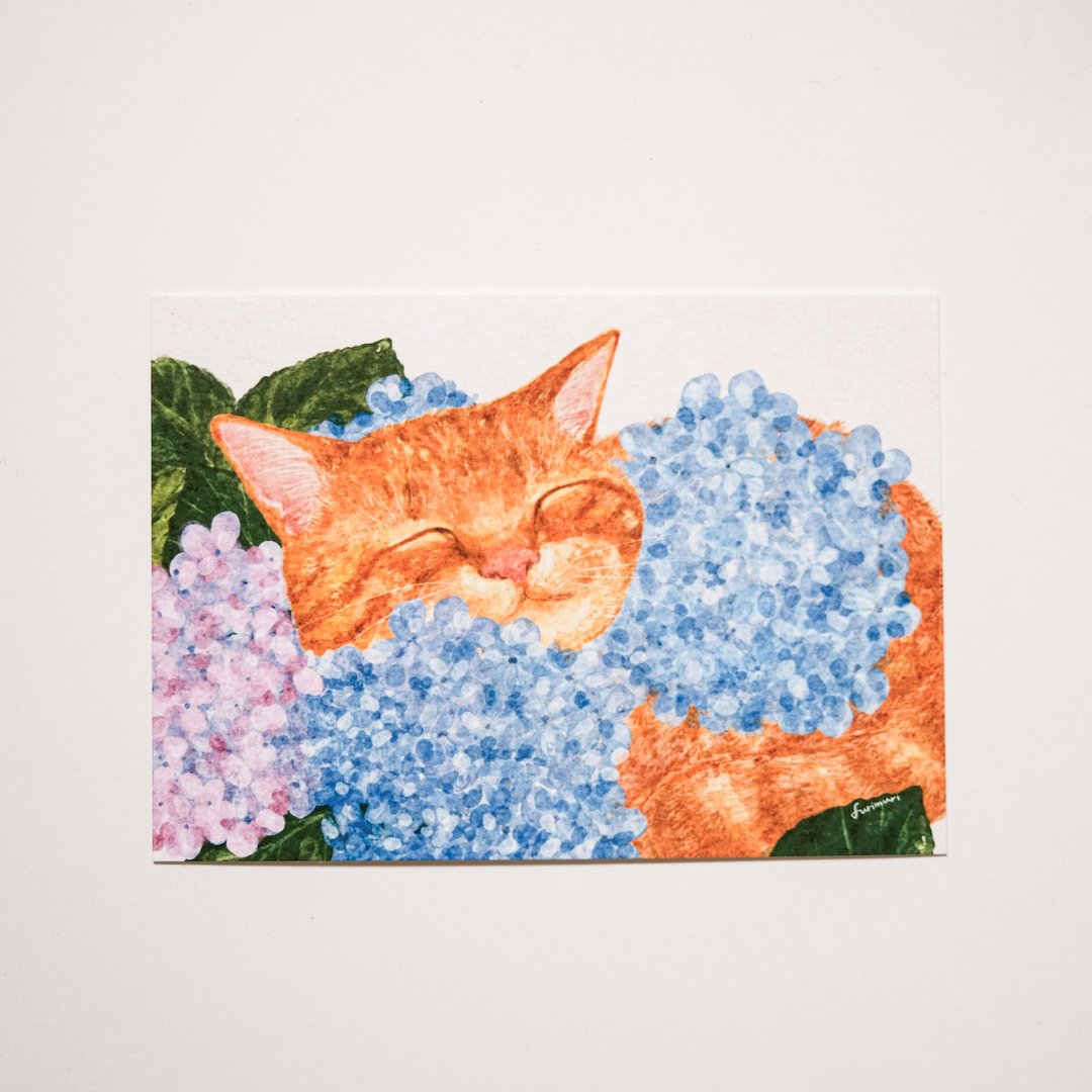 明信片 猫与紫阳花 - 卡片/明信片 - 纸 