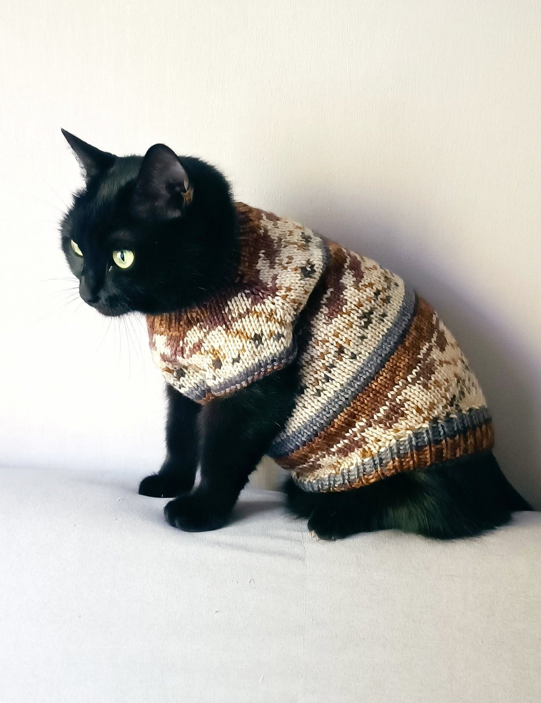 猫毛衣 宠物针织毛衣 手工编织 狗狗毛衣 猫毛衣 - 衣/帽 - 羊毛 