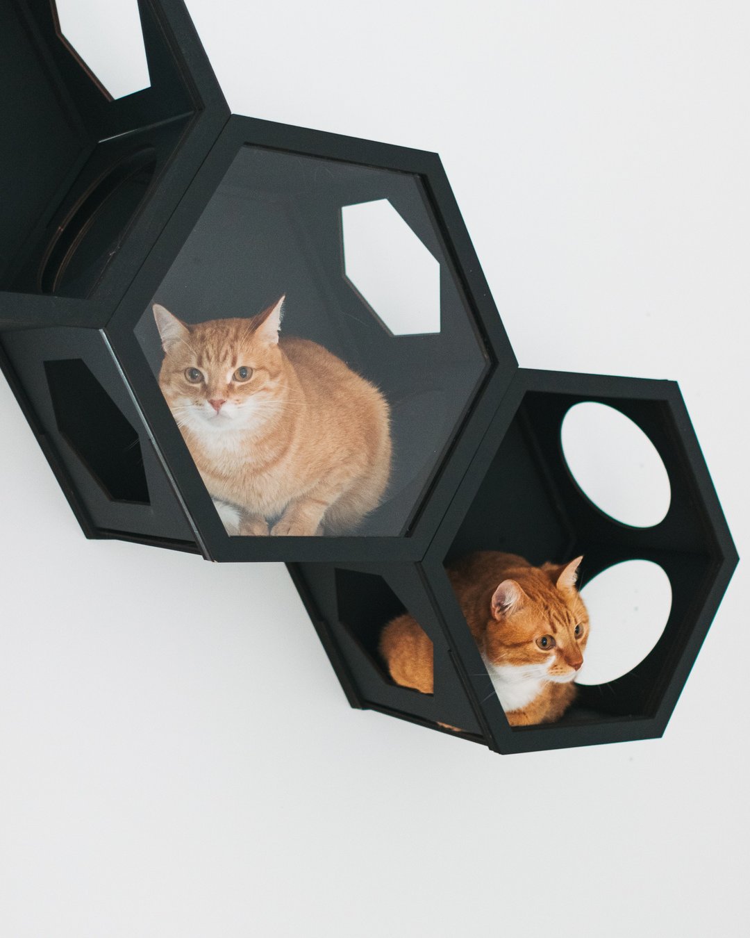 Cat Lover Gift, Cat Bed, Wood Cat Tree, Cat House, Wall Furniture, Cat Lover Gif - 抓板/跳台 - 木头 