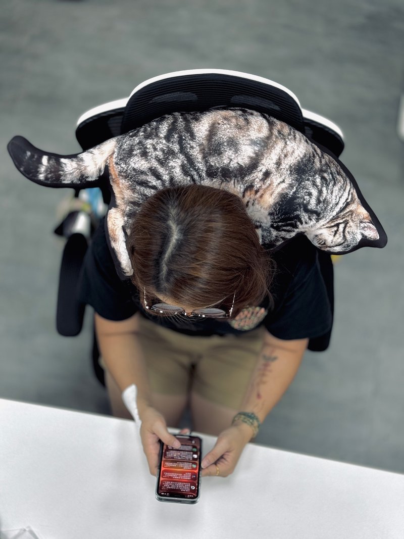 BLR 定制化 宠物抱枕 3天出货 极速订制 - 订制抱枕/饰品 - 聚酯纤维 咖啡色