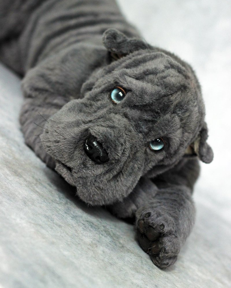 Sharpei, plush dog, pet replica, realistic interior toy - 玩偶/公仔 - 其他材质 灰色