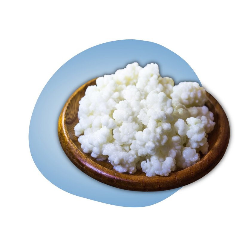 DIY益生菌 |自制克菲尔奶|菌种|喝的益生菌|优格粉|制作无限次 - 酸奶/优酪乳 - 玻璃 蓝色