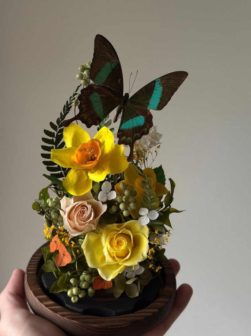 阿弗罗黛特的水仙。翠凤蝶永生玻璃花盅。升迁/退休/教师节/入厝 - 干燥花/捧花 - 植物．花 绿色