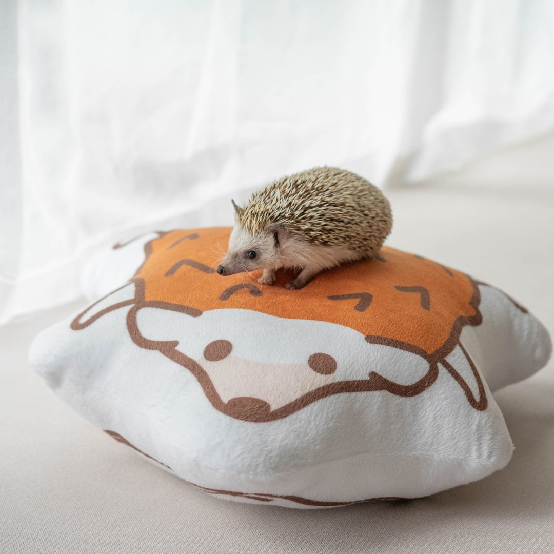 刺猬趴趴睡软绒毛揽枕/枕头/咕𠱸/Cushion - 枕头/抱枕 - 海绵 白色