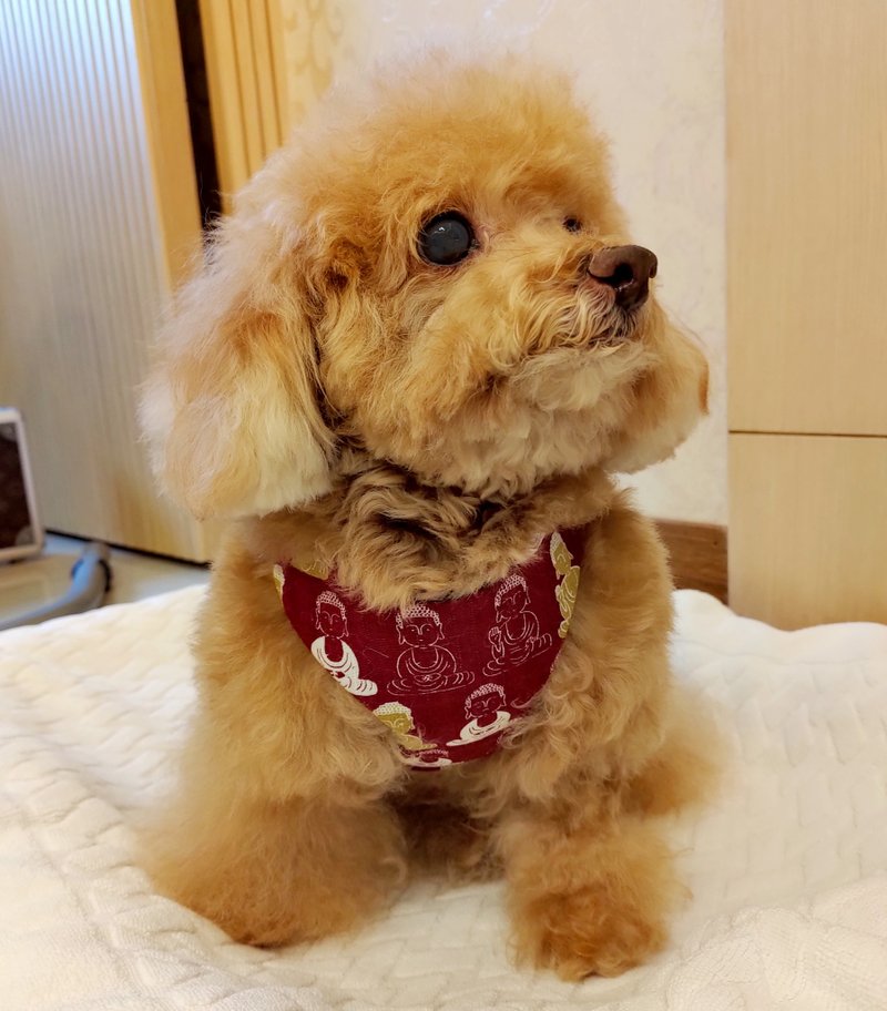 宠物胸背带【狗狗用】自选花色 含牵绳 - 衣/帽 - 棉．麻 