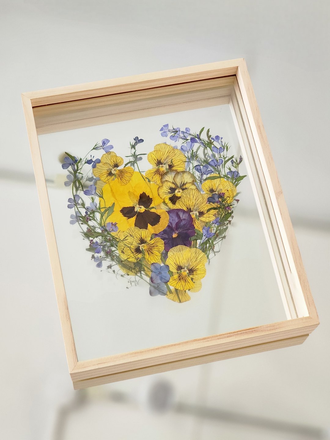 实木花框∣虎眼香堇花园∣花草标本 - 干燥花/捧花 - 植物．花 黄色