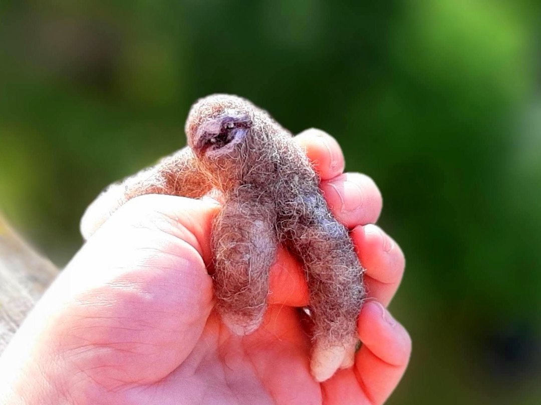 Lazy little sloth ornaments handmade wool healing small needle felted miniatures - 玩偶/公仔 - 羊毛 卡其色