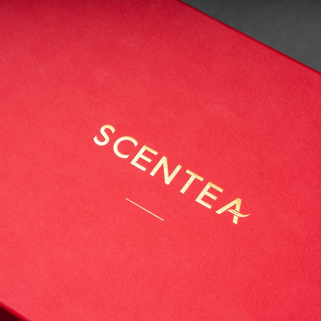 轩汀SCENTEA | 严选散茶礼盒 - 严选高山乌龙/严选日月潭红玉 - 茶 - 纸 红色