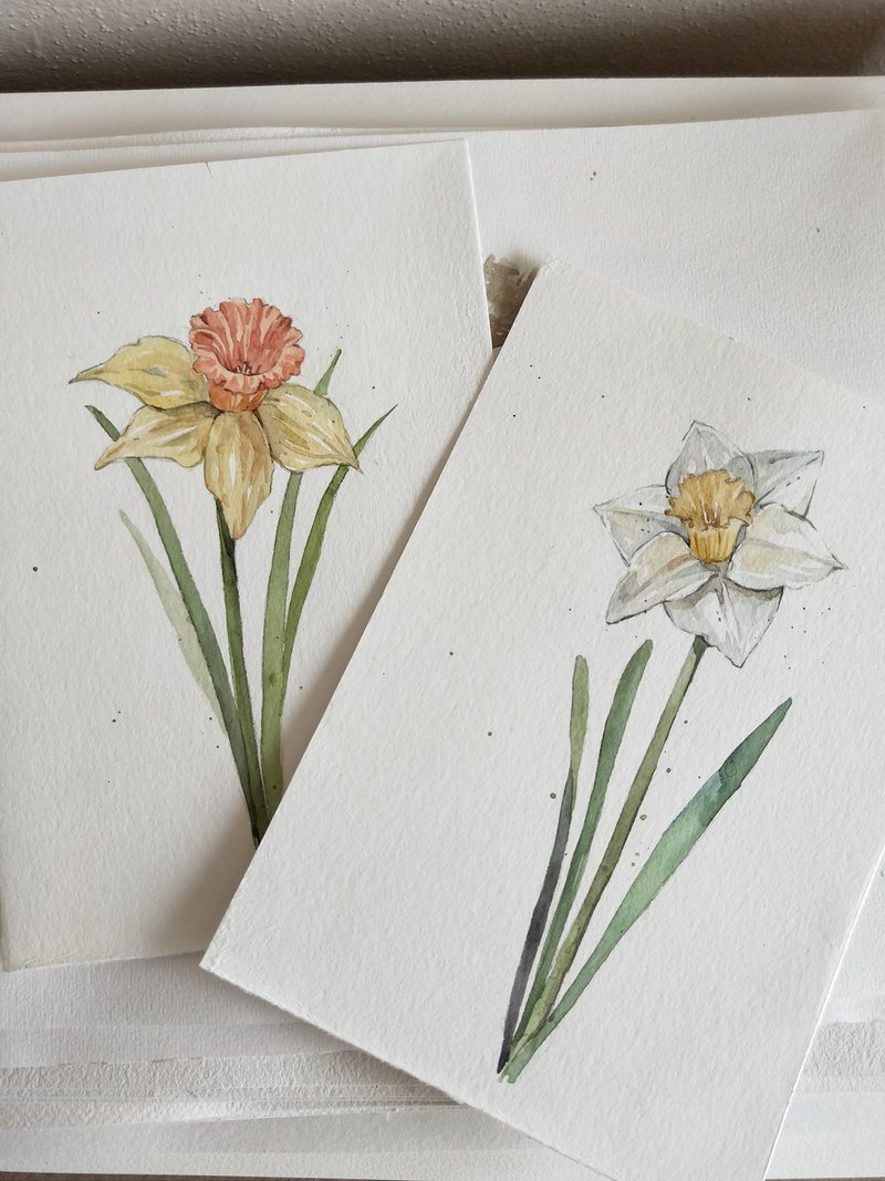 水彩水仙花  原画 - 其他 - 纸 