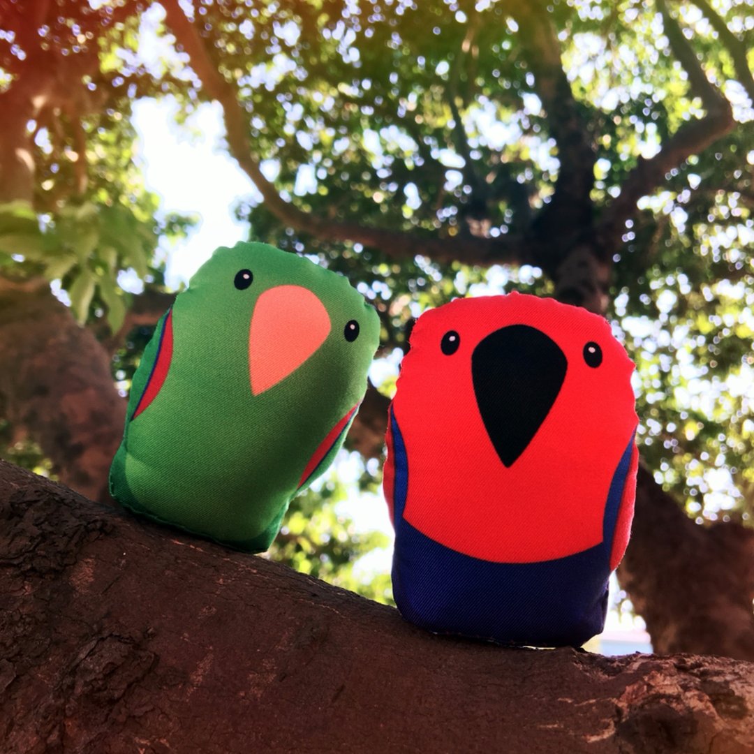 DIY手作鹦鹉 ∣ 折衷鹦鹉 Eclectus · 纸镇手作材料包 - 其他 - 其他材质 多色