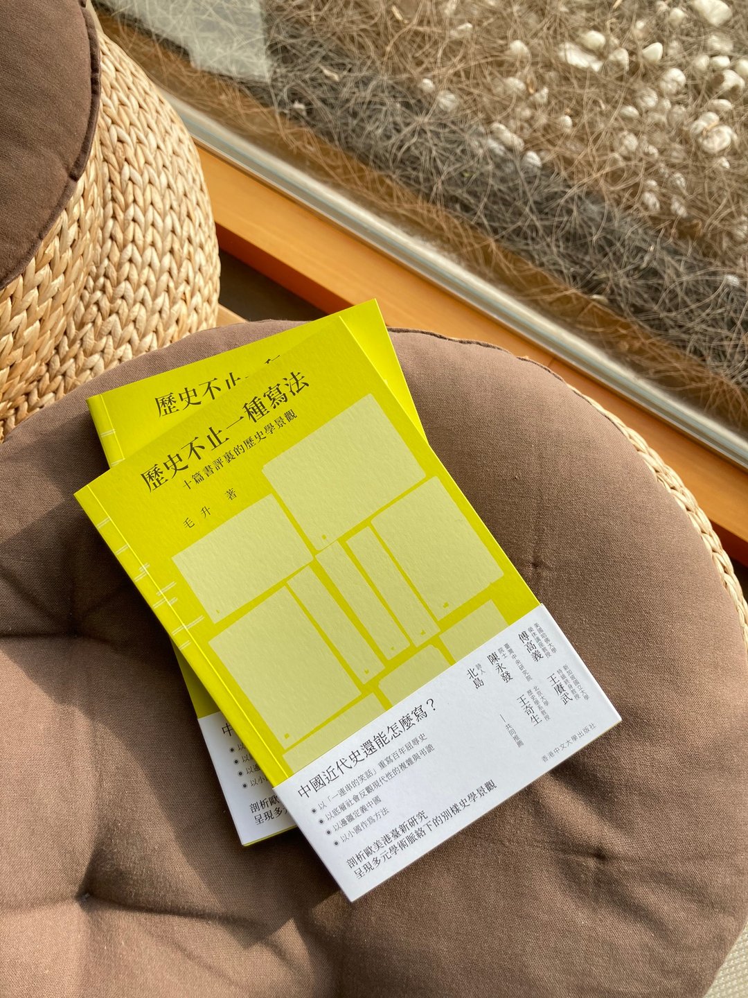 历史不止一种写法: 十篇书评里的历史学景观 / 毛升 着 - 刊物/书籍 - 纸 绿色