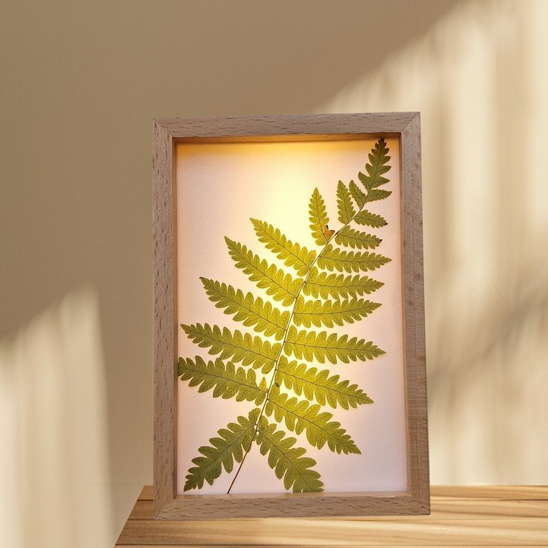 手作押花LED小夜灯 | 文创小夜灯 l 蕨 l 可调式小夜灯 - 灯具/灯饰 - 木头 绿色