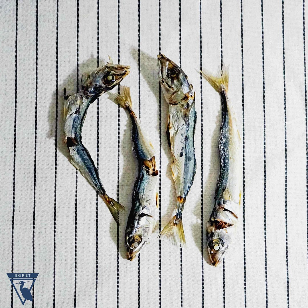 EGRET澎湖现流日晒鲭鱼小鱼干/蒸煮处理/全干/淡 - 其他 - 其他材质 