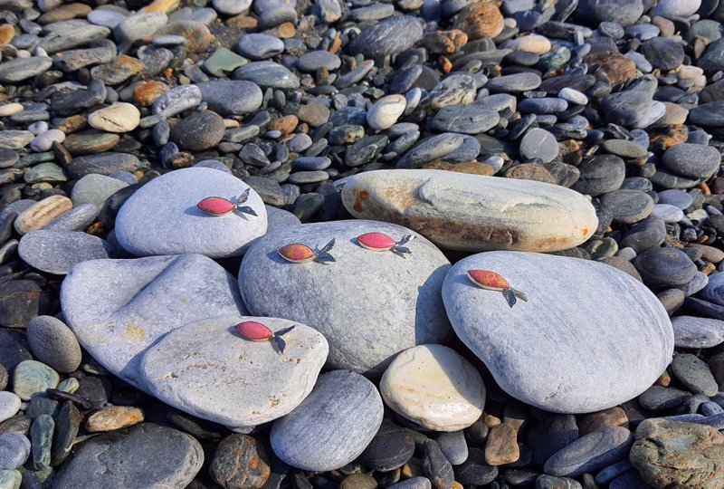 回游玫瑰鱼  胸针/玫瑰石纯银手工胸针 - 胸针 - 纯银 多色