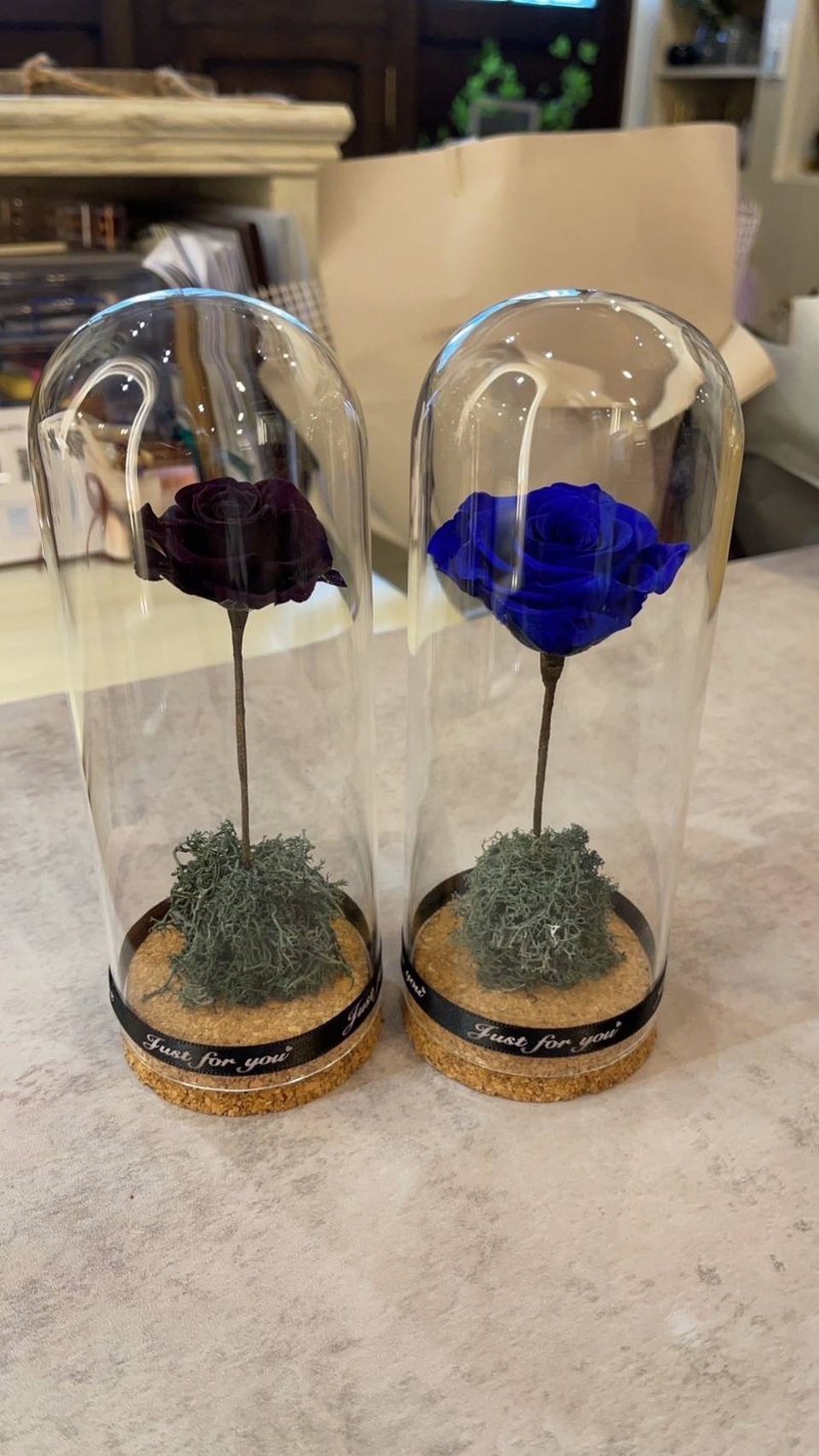 单朵永生玫瑰玻璃罩 定制化生日/节庆礼物 - 干燥花/捧花 - 玻璃 粉红色