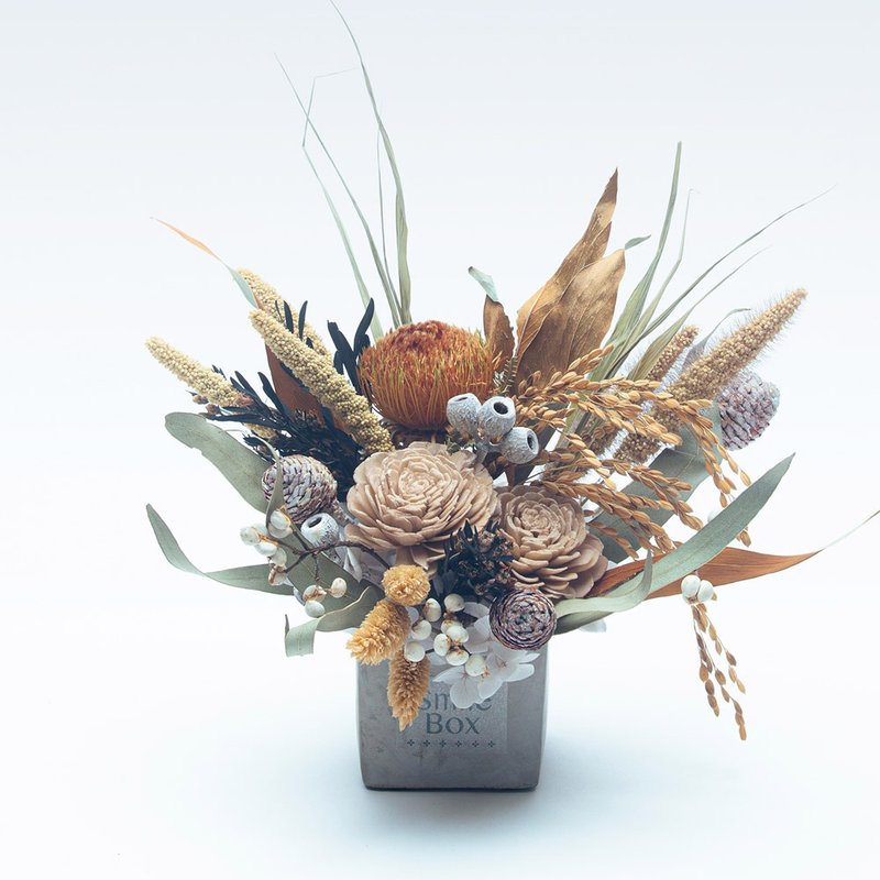 摩卡暖棕盆花 圣诞节  交换礼物 圣诞布置 生日礼物 开幕志庆 - 干燥花/捧花 - 植物．花 