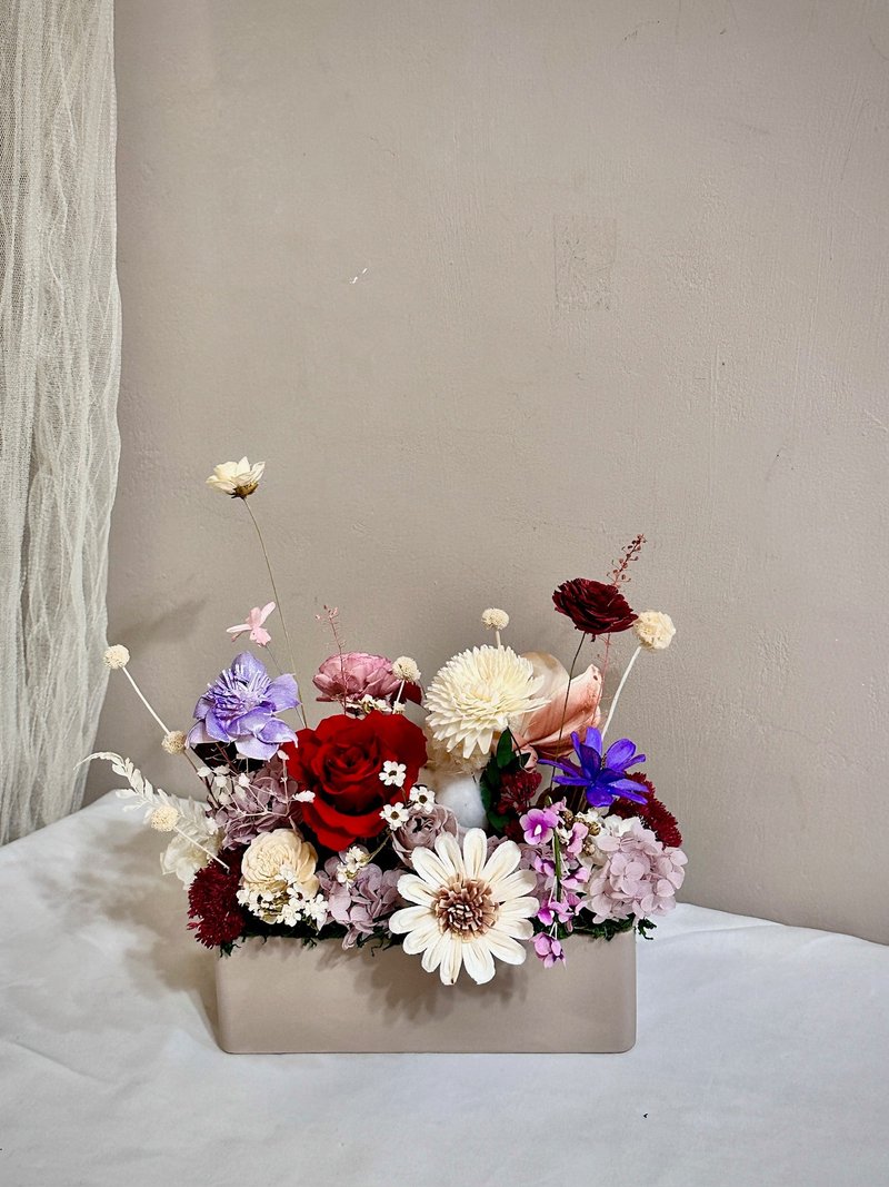 开幕盆花 永生盆花 永生花 索拉花 开幕花礼 - 干燥花/捧花 - 植物．花 白色