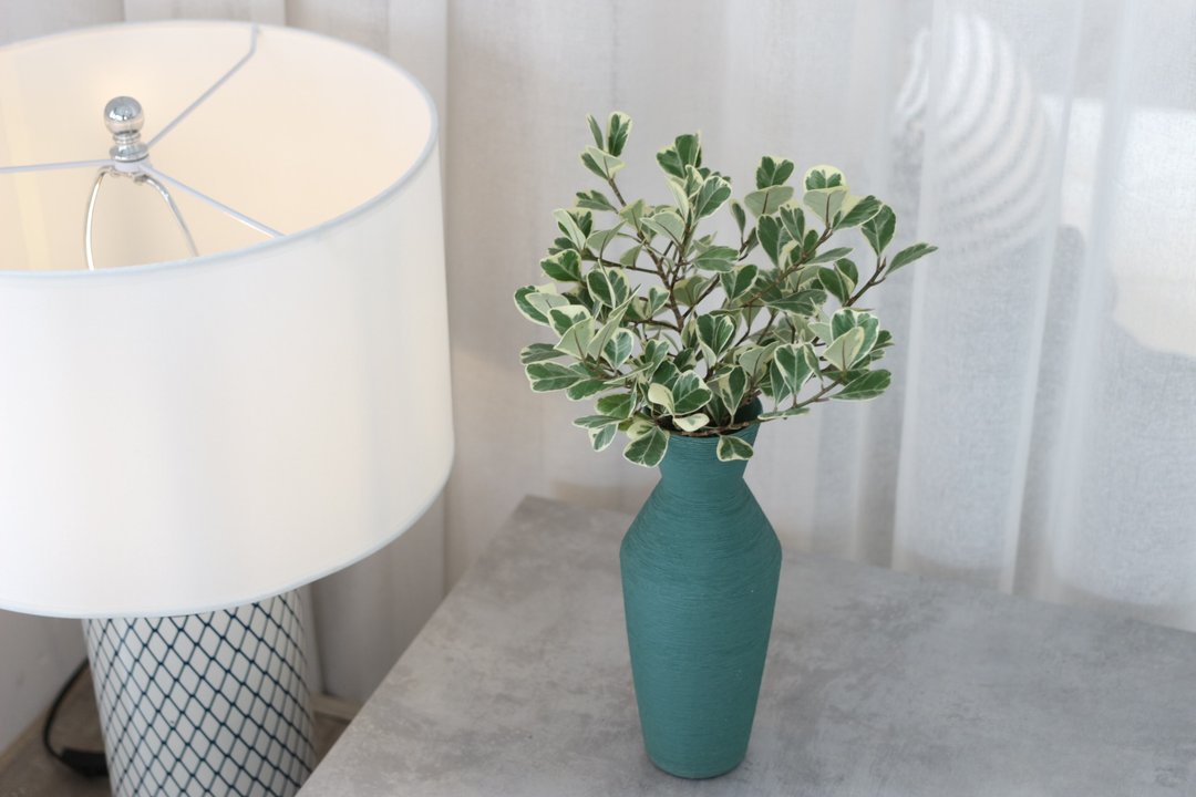 水培植栽│斑叶三角榕_室内明亮区植物 办公室盆栽 手工拉丝陶瓶 - 植栽/盆栽 - 陶 