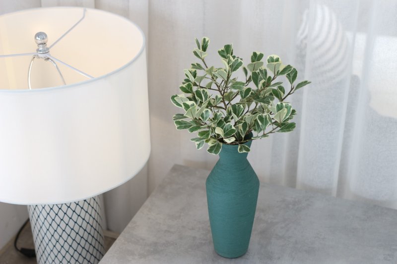 水培植栽│斑叶三角榕_室内明亮区植物 办公室盆栽 手工拉丝陶瓶 - 植栽/盆栽 - 陶 