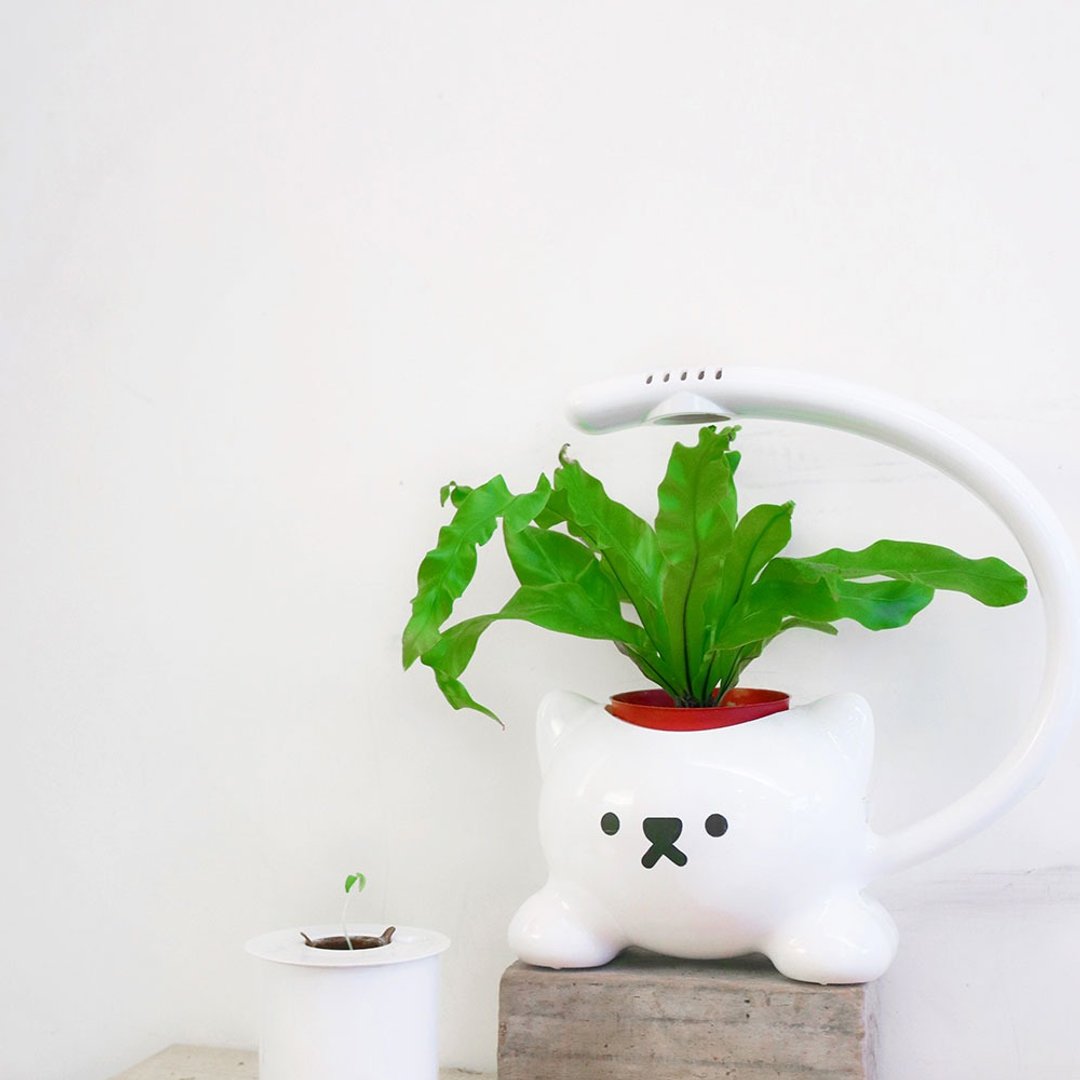 Light up the cat __ 猫造型LED植物栽培灯 - 灯具/灯饰 - 塑料 白色
