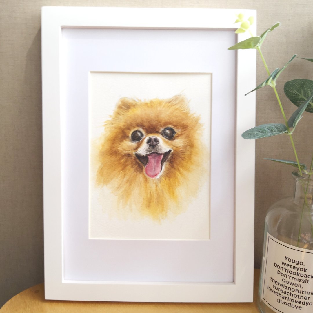 定制化宠物水彩肖像画  猫狗宠物画像订制 - 订制画像 - 纸 白色