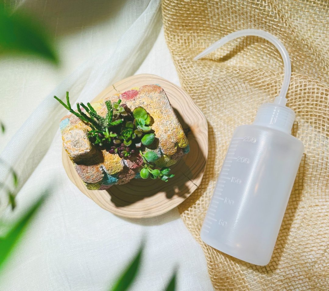 商品加购区 | 植物浇水器 - 植栽/盆栽 - 塑料 白色