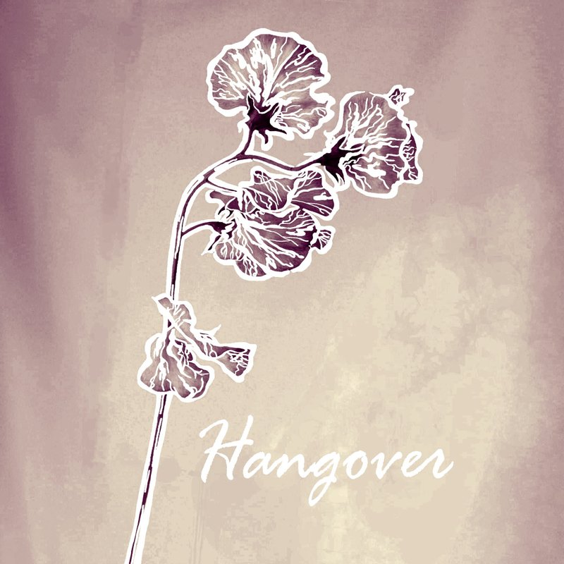 快递运费下单区 - 干燥花/捧花 - 植物．花 