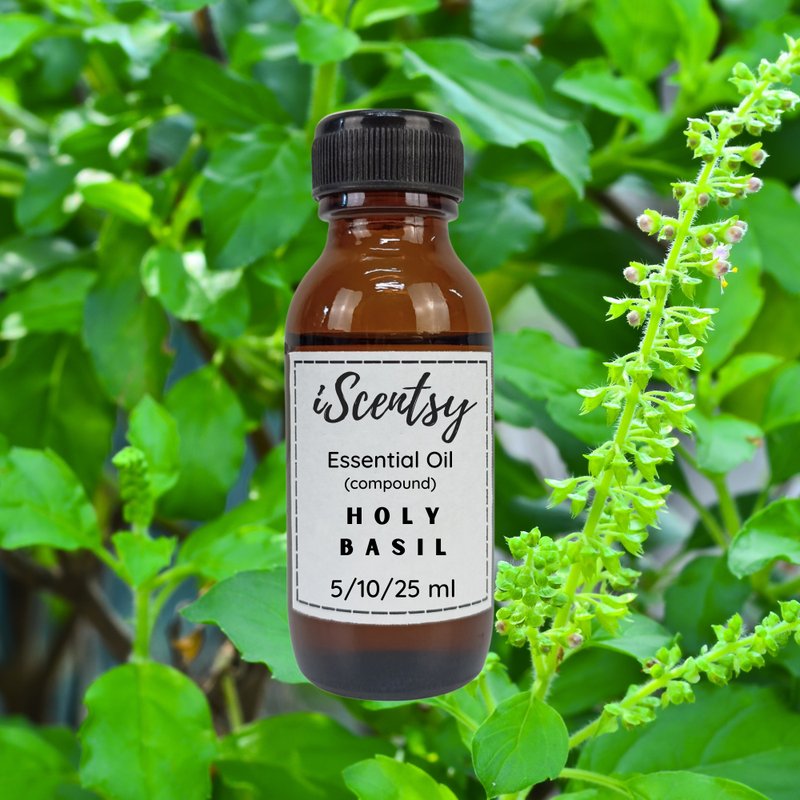 Thai Pure & Natural Essential Oil: Holy Basil Essential Oil 100% - 香薰/精油/线香 - 其他材质 
