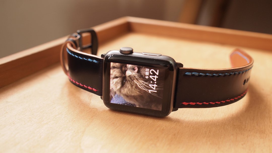 Apple Watch 定制化日本马臀皮革表带双线色款 - 表带 - 真皮 多色
