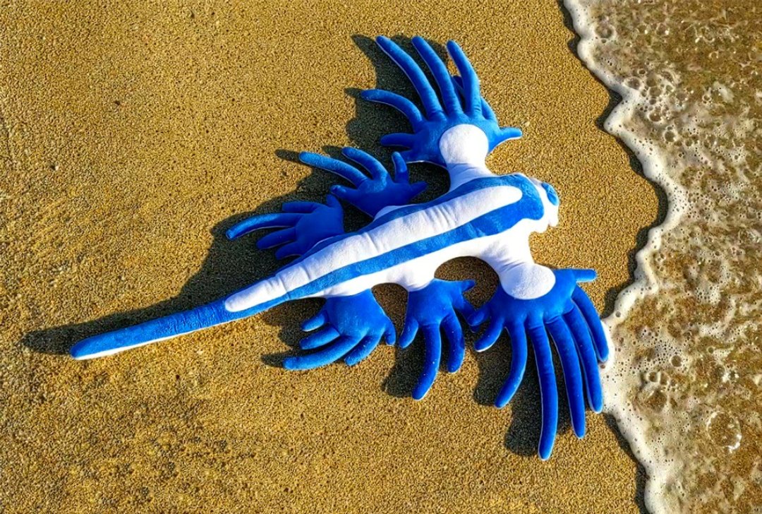绒毛布偶 大西洋海神海蛞蝓 巨大 台湾海洋生物 蓝色 疗愈 - 玩偶/公仔 - 聚酯纤维 蓝色