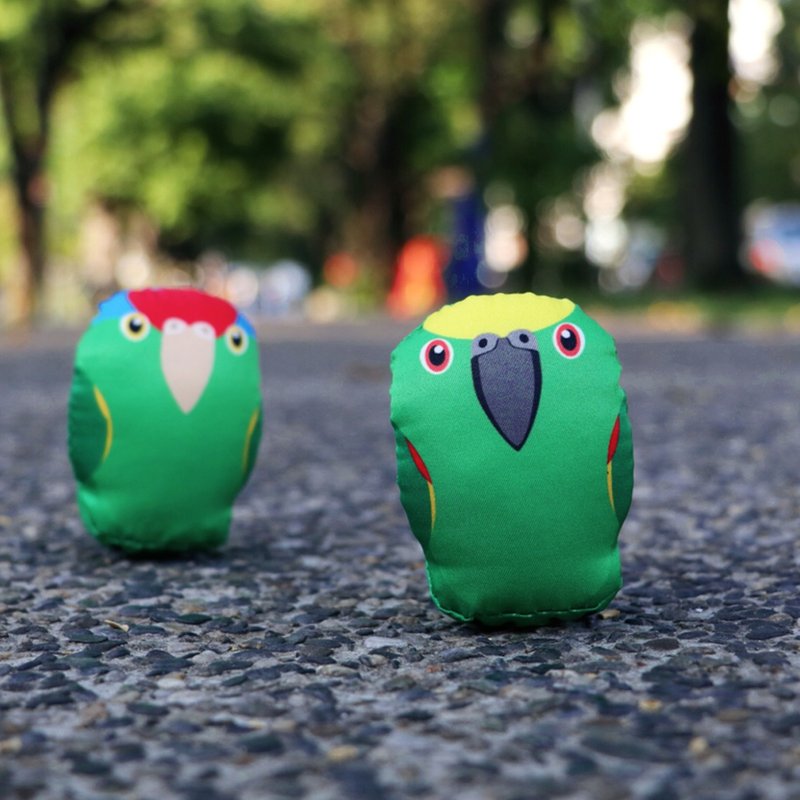 DIY手作鹦鹉 ∣ 大红帽/黄帽亚马逊 Amazon · 纸镇手作材料包 - 其他 - 其他材质 绿色