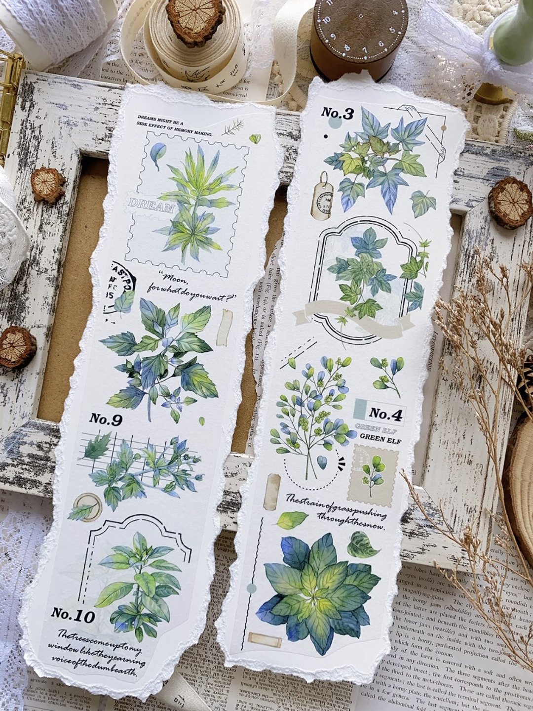 森寂然 復古綠植稿 ユーカリ 観葉植物  PET 和紙膠帶 - 纸胶带 - 其他材质 绿色