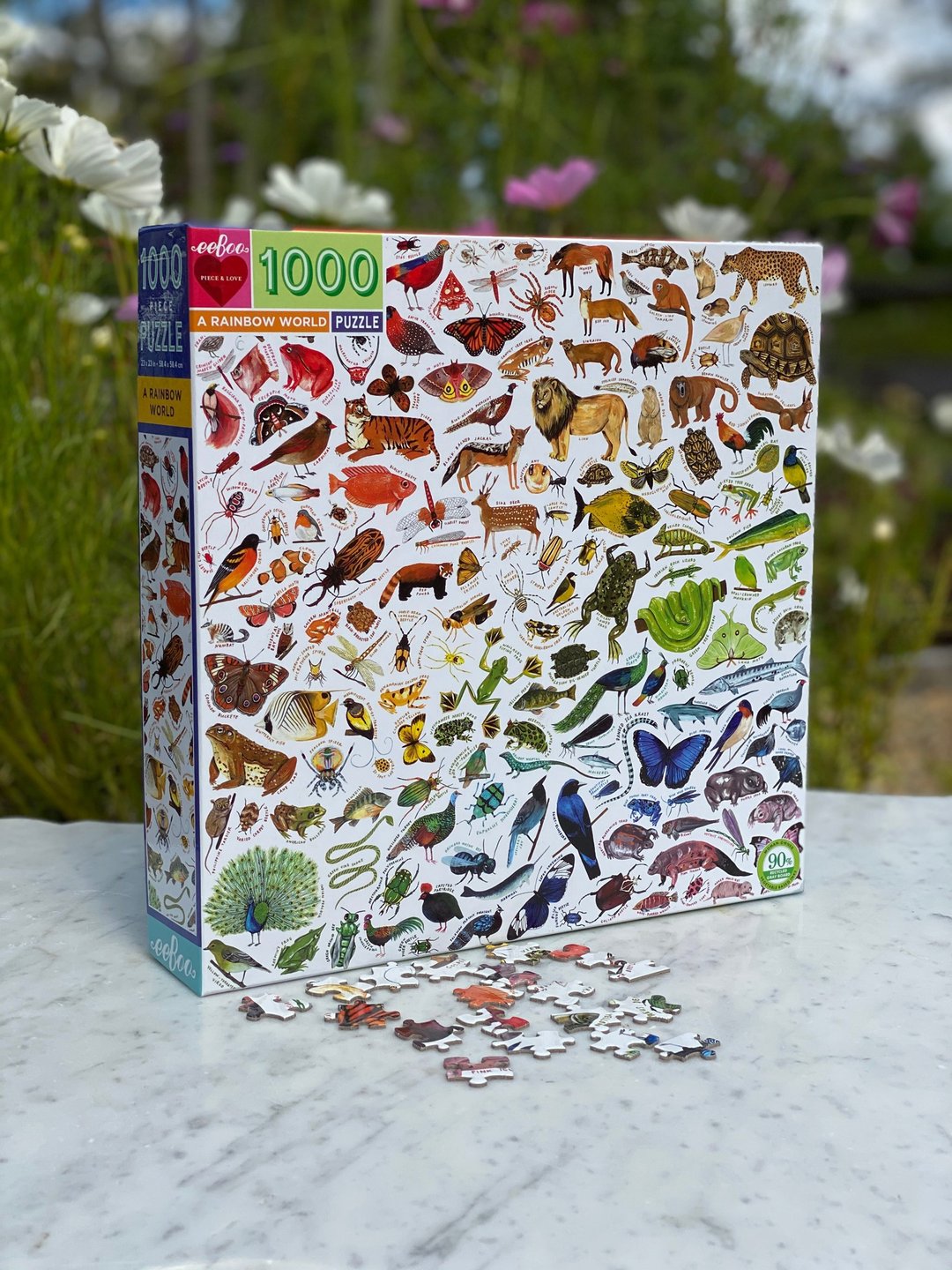 eeBoo 1000片拼图 -彩虹世界 A Rainbow World 1000 Piece Puzzle - 拼图 - 纸 多色